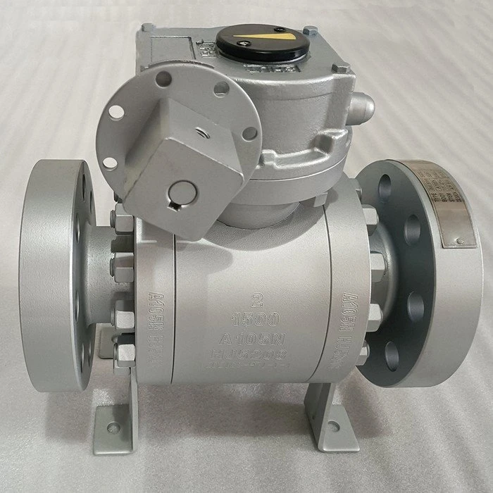 api-6d-floating-ball-valves-and-soft-sealing-swing-check-valves-1